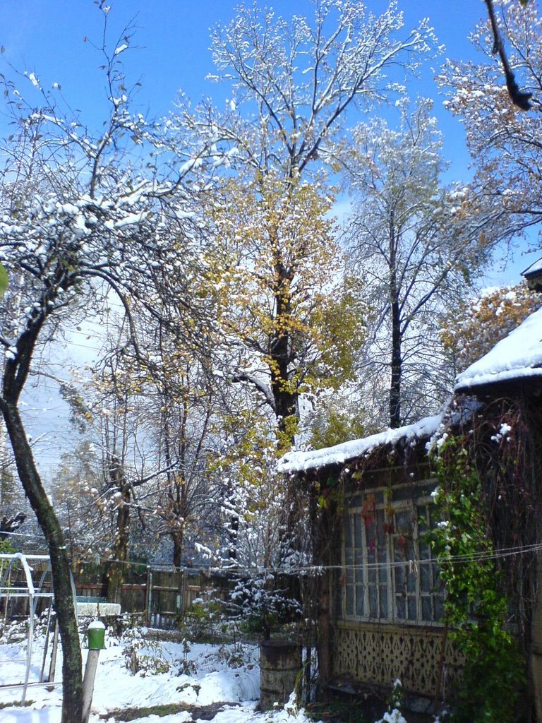 Ранний снег, Салтыковка
