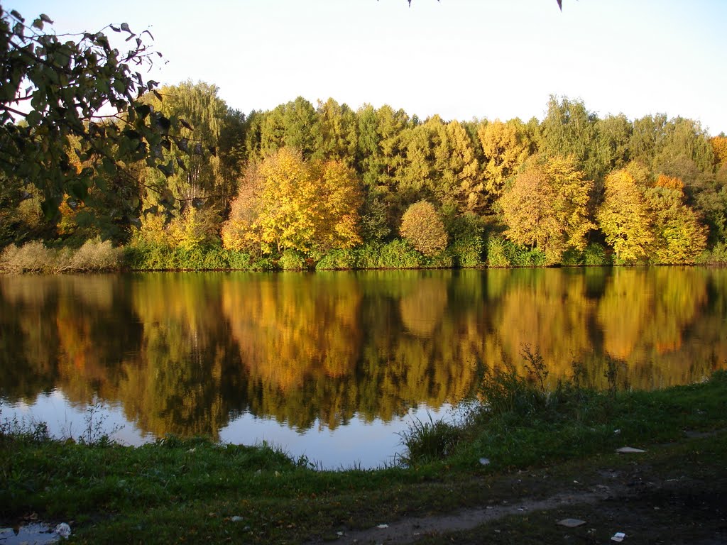 Озеро жёлтое, Салтыковка
