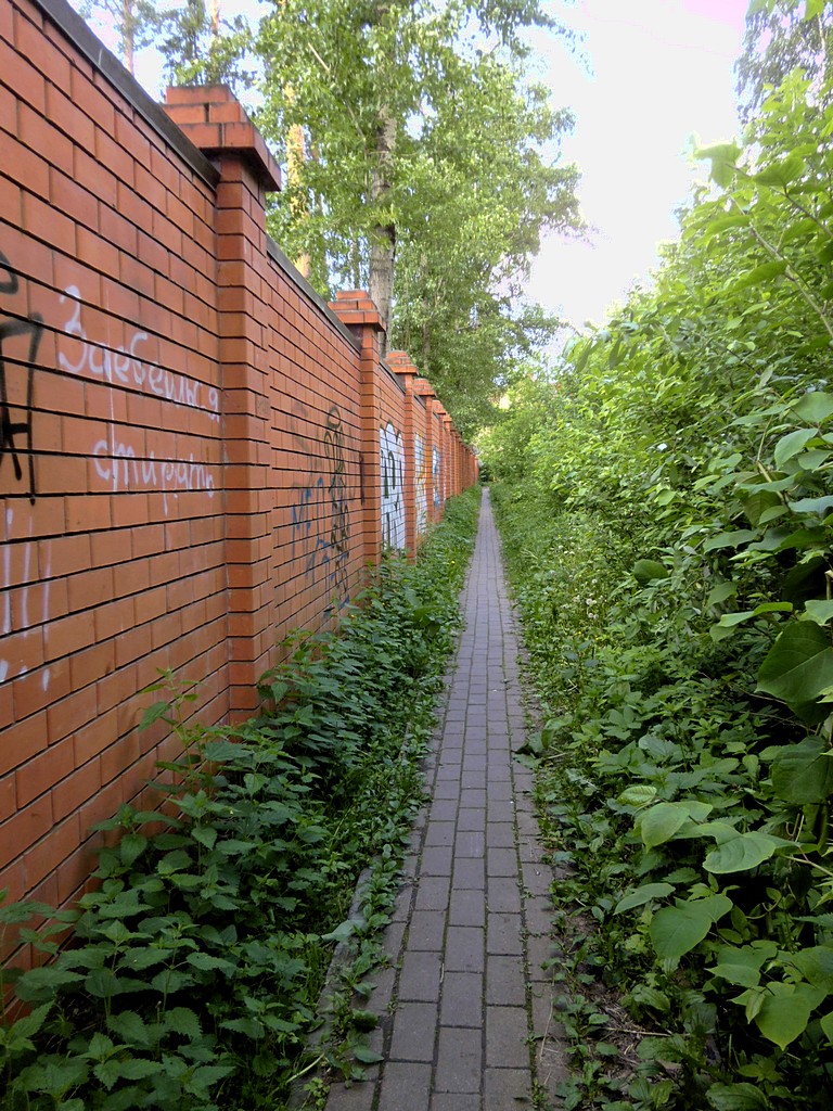 Забор, Салтыковка