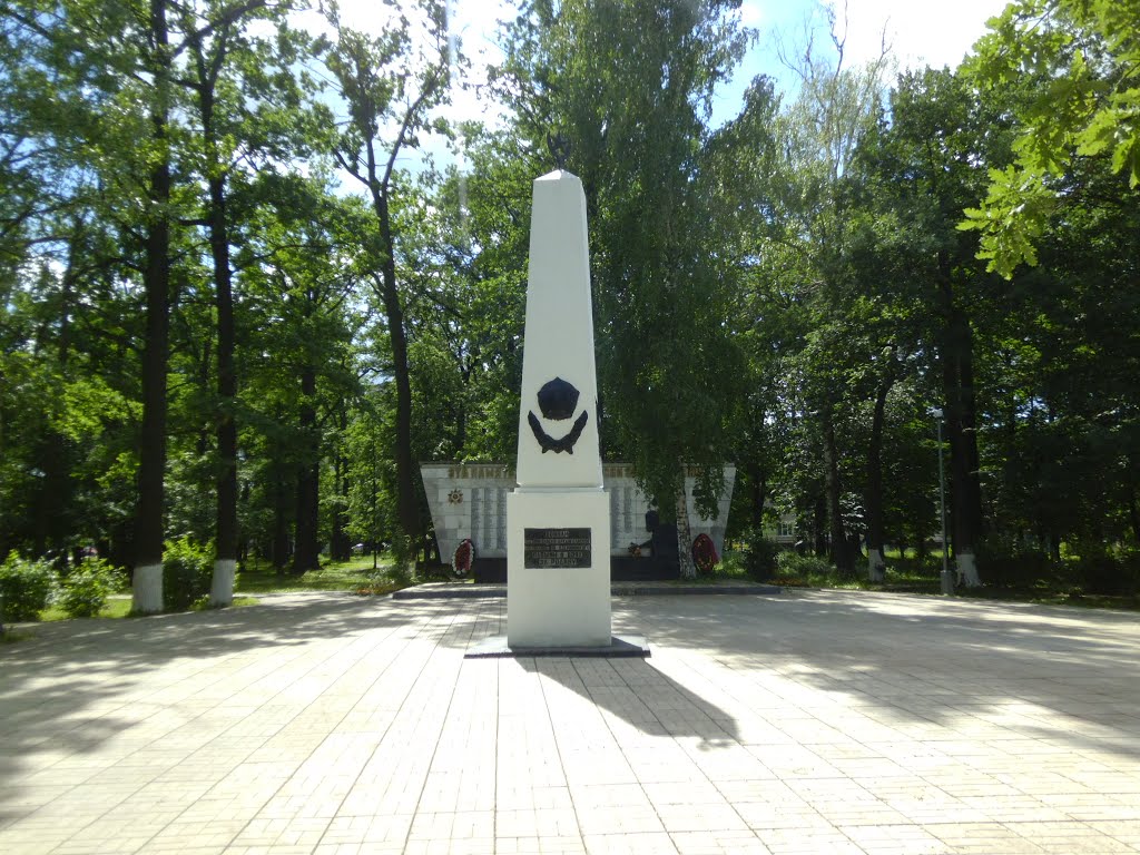 Памятник, Салтыковка