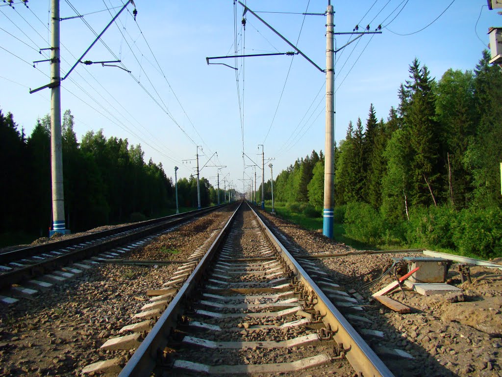 Железнодорожный переезд 43 км. Вид на Софрино / Railroad crossing 43 km. View on Sofrino, Софрино