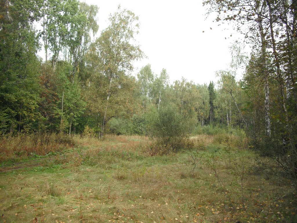 поляна в Химкинском лесу, Старбеево