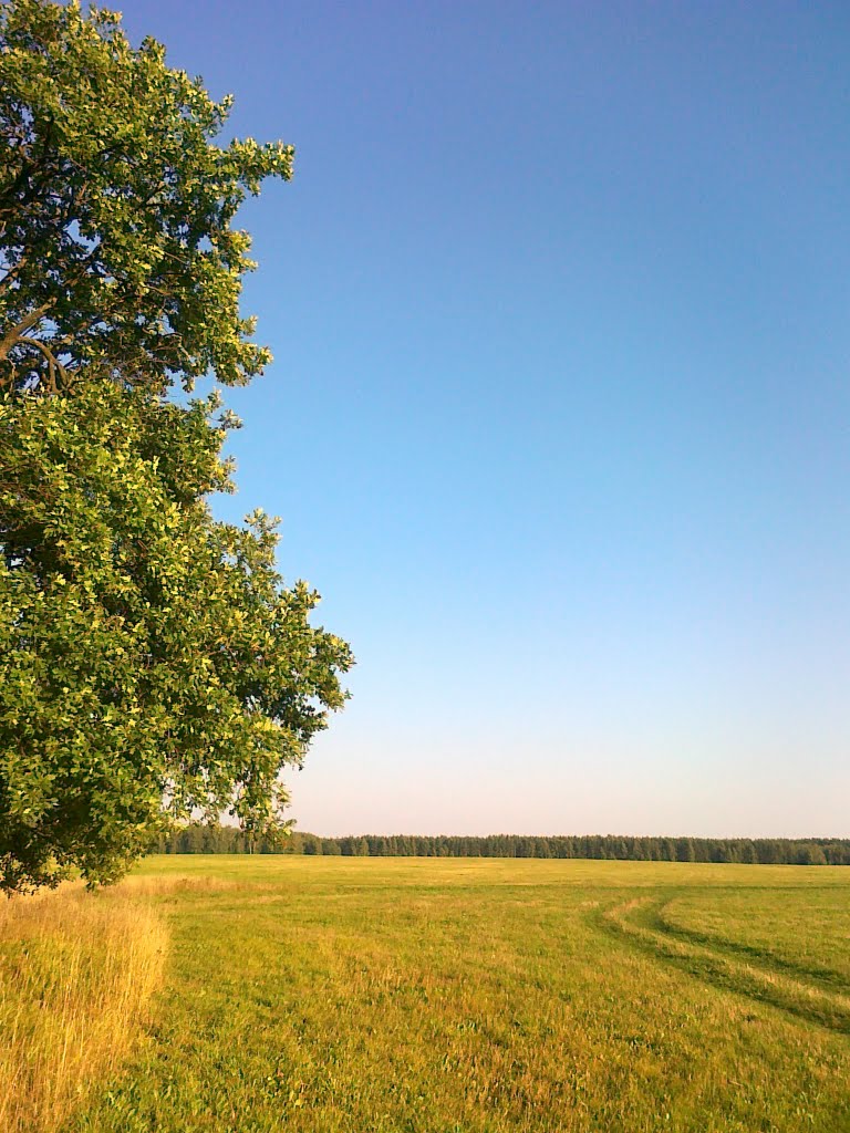 Дерево на поле, Тишково
