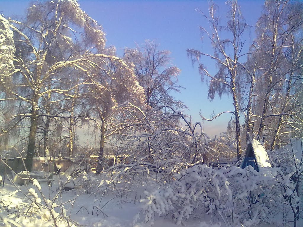 Egorovo. After ice rain december 2010. /Егорово. После ледяного дождя декабрь 2010., Томилино