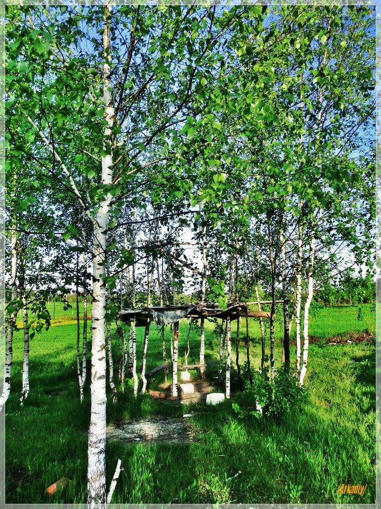 Birches, Томилино