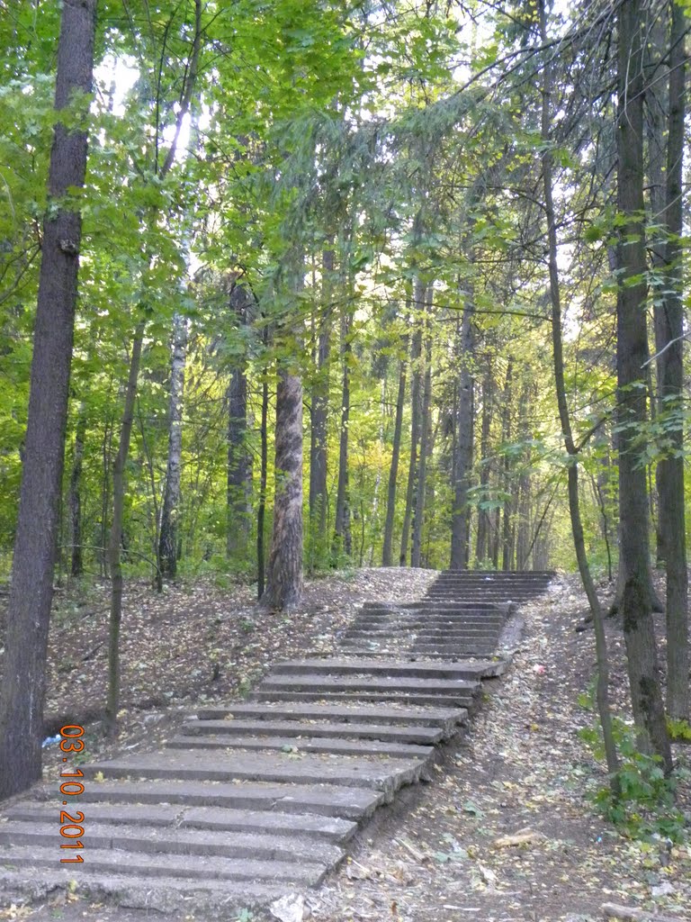 лестница в парк, Томилино