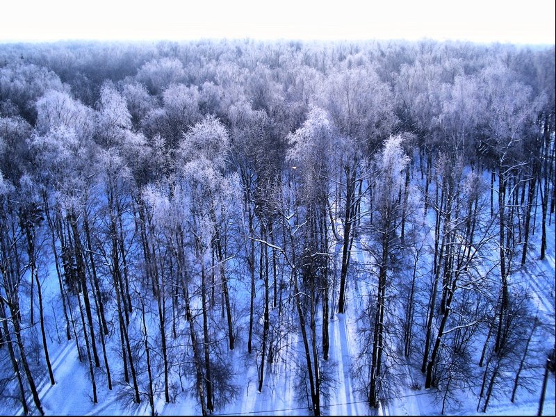 Первый снег, Троицк