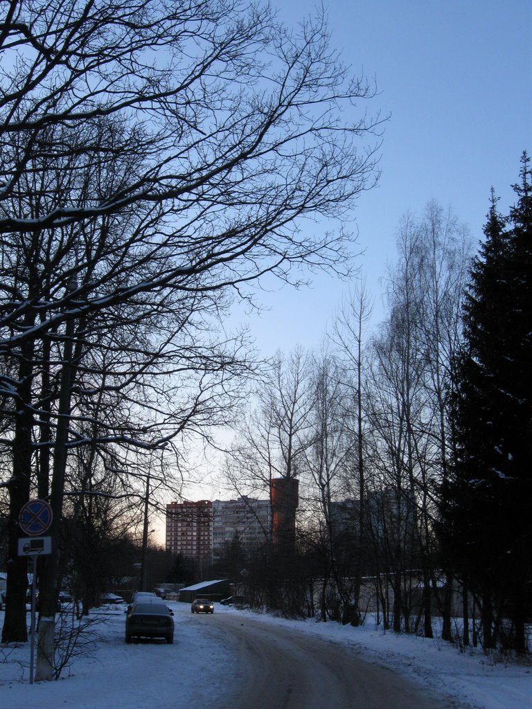 Улица Пушковых (на запад), Троицк
