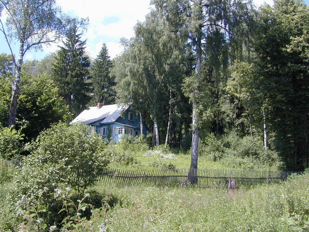 Country House in Vatutinki, Троицк