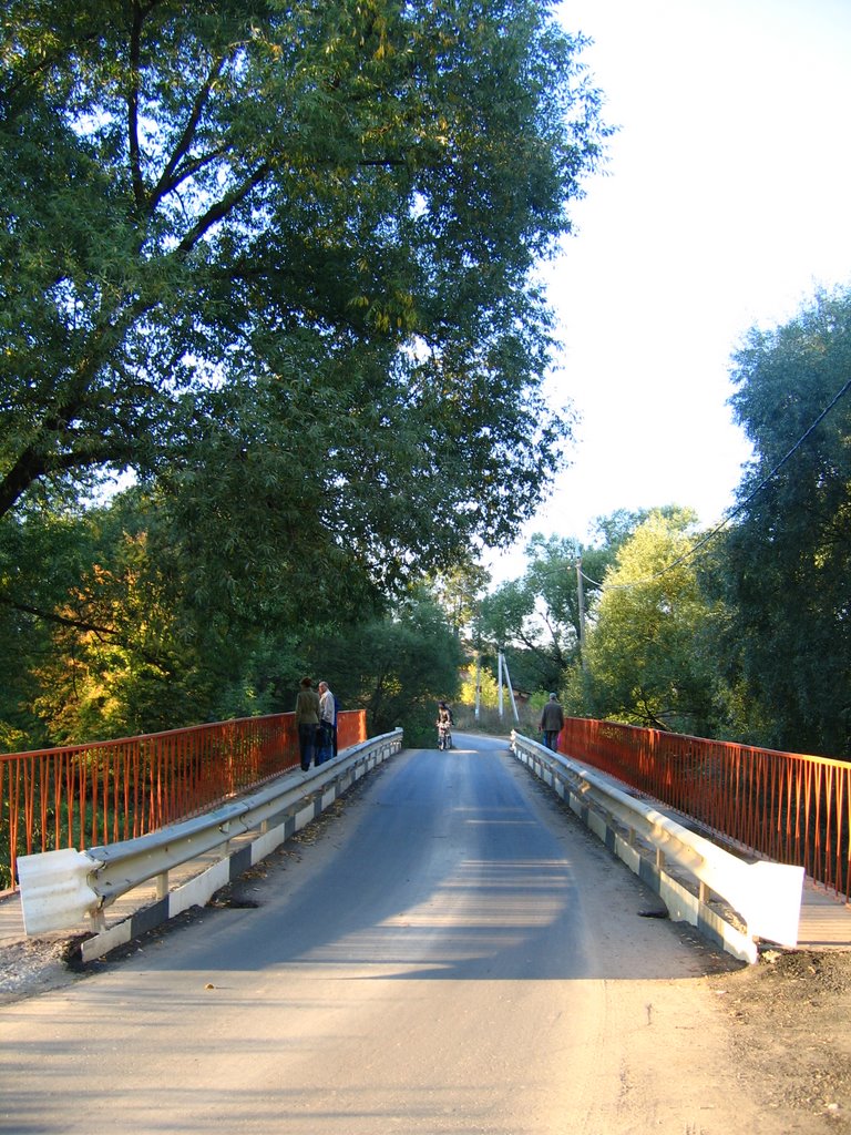 Мост через Десну, Троицк