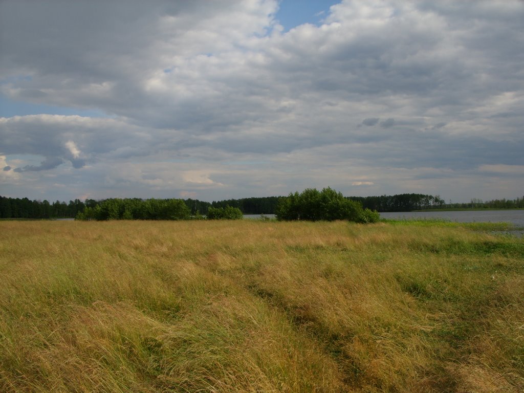 Свиношное, луга у В берега. Swinoschnoye, meadows at the E coast, Туголесский Бор