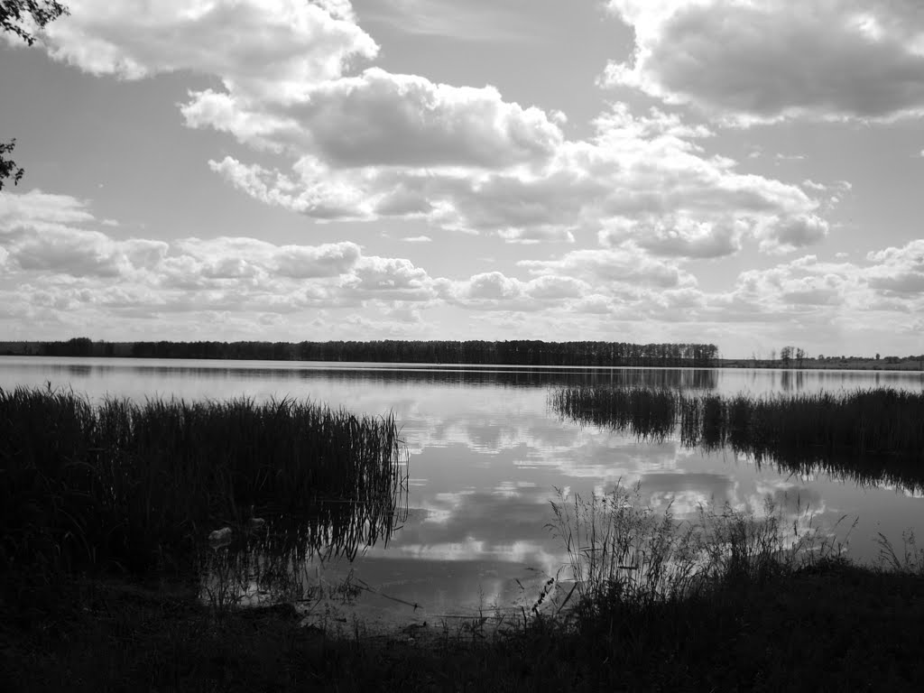 Свиношное озеро сквозь солнцезащитные очки, Туголесский Бор
