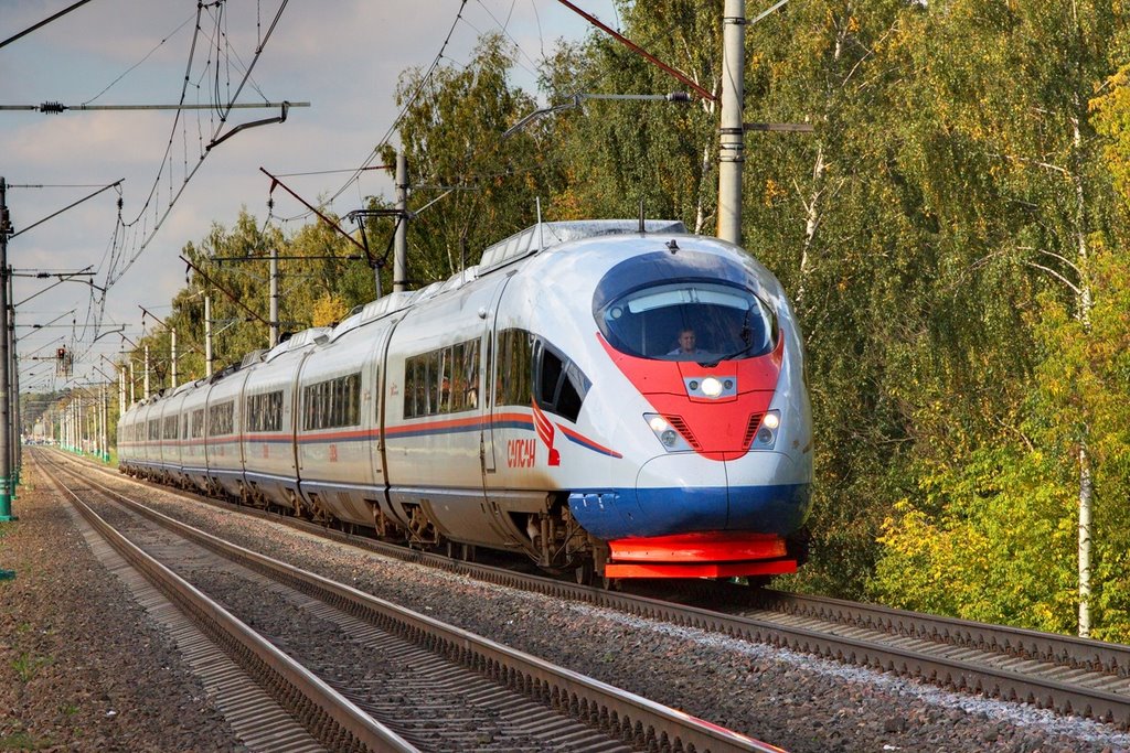 Siemens Velaro RUS (Sapsan) approaching Udelnaya railway platform, Удельная