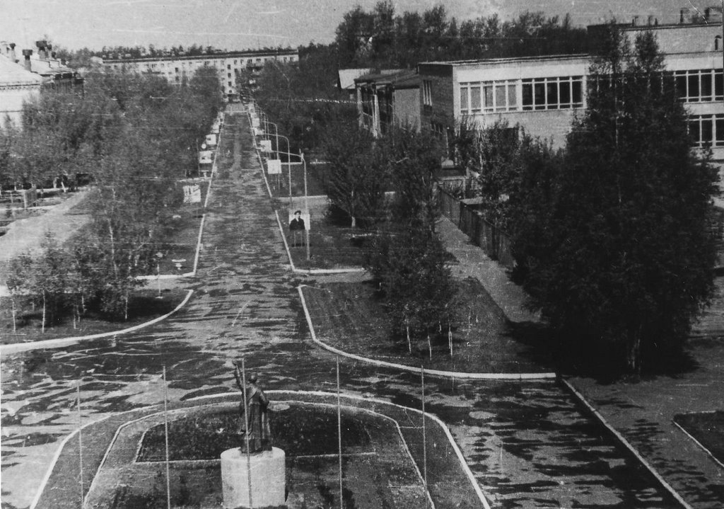 Вид аллеи с крыши штаба (1976), Удельная