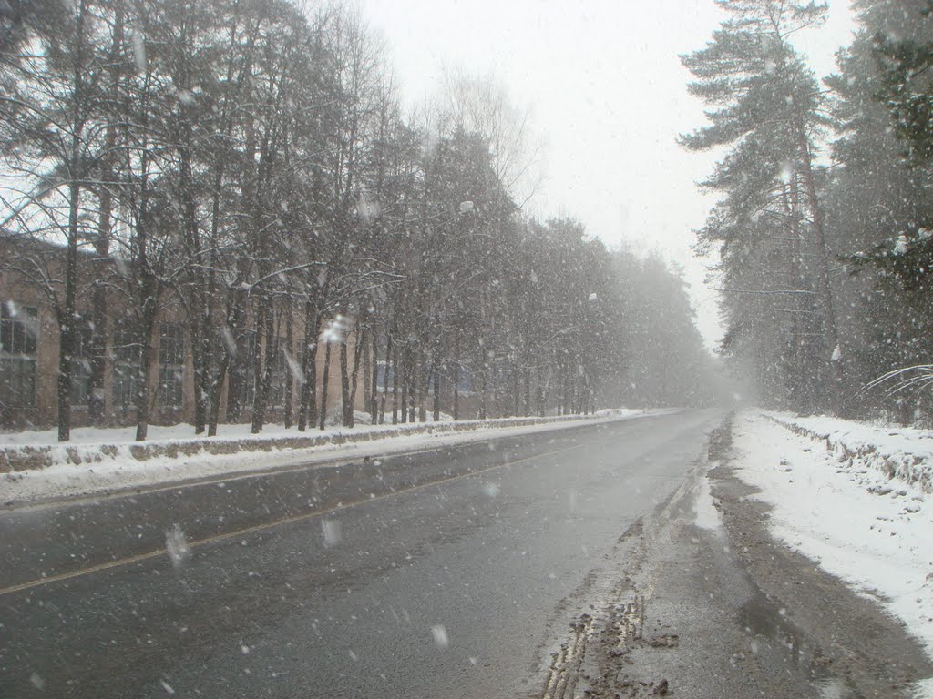 8 марта 2011 г. на 1-м Успенском ш, Успенское