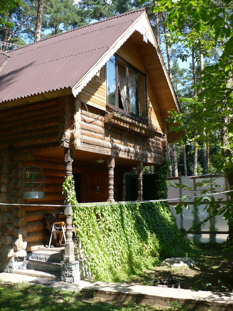 Лесной домик с попугаем, Успенское