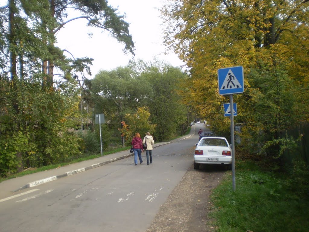Улица в Фирсановке, Фирсановка