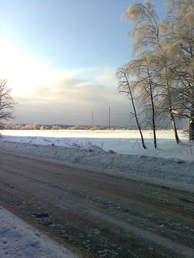 December 2010, Фирсановка
