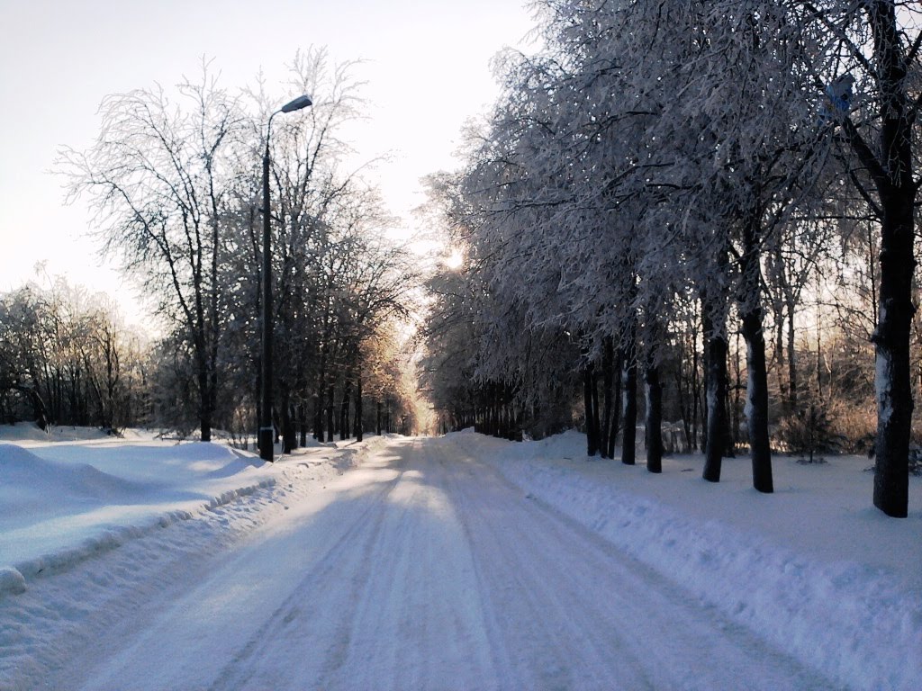 Зимняя дорога, Фирсановка