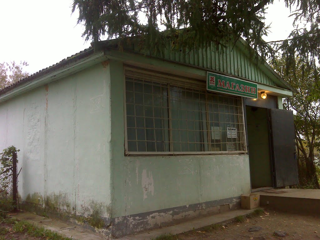 Магазин в Лигачево, Фирсановка