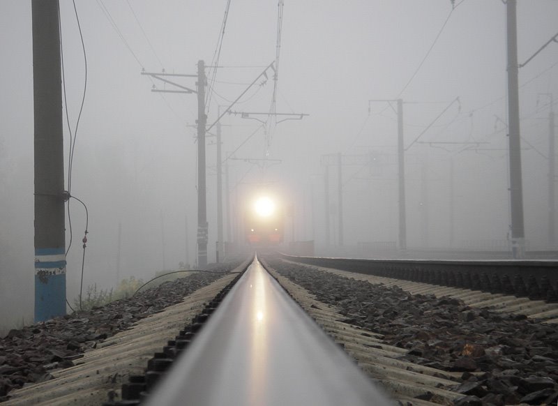 Light in the fog, Черкизово