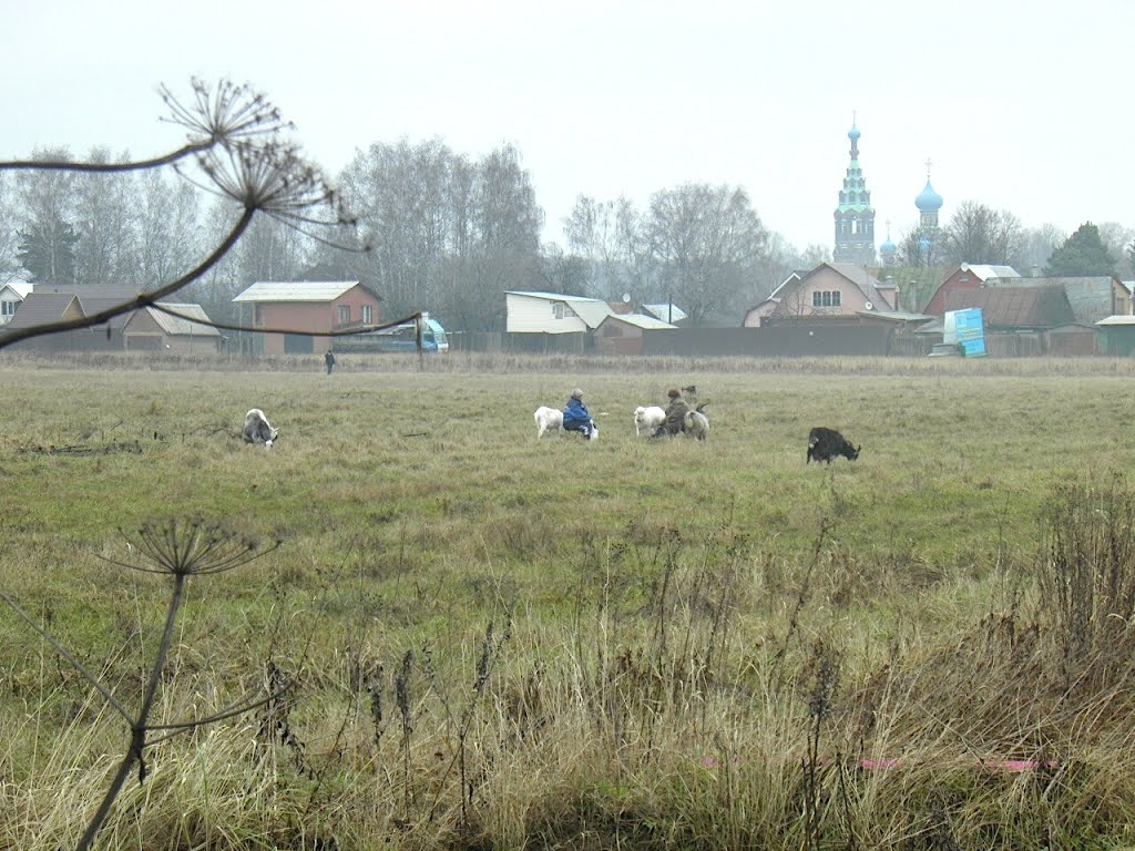 храм в Тарасовке, Черкизово