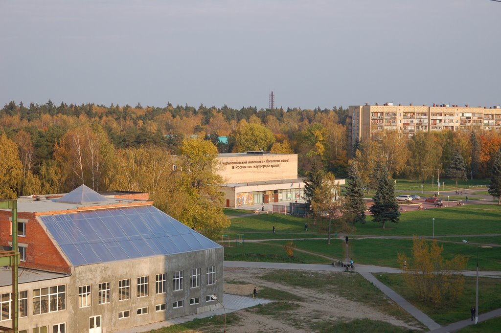 Dark head центральная ул 15 черноголовка фото Dark head центральная ул 15 черноголовка фото