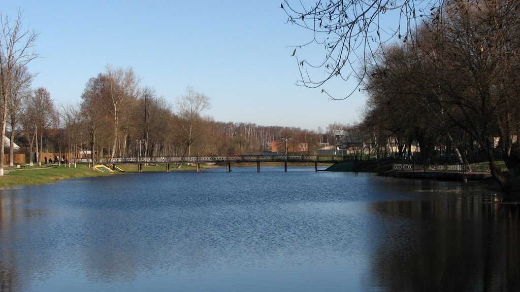 Пруд и мост, Чехов