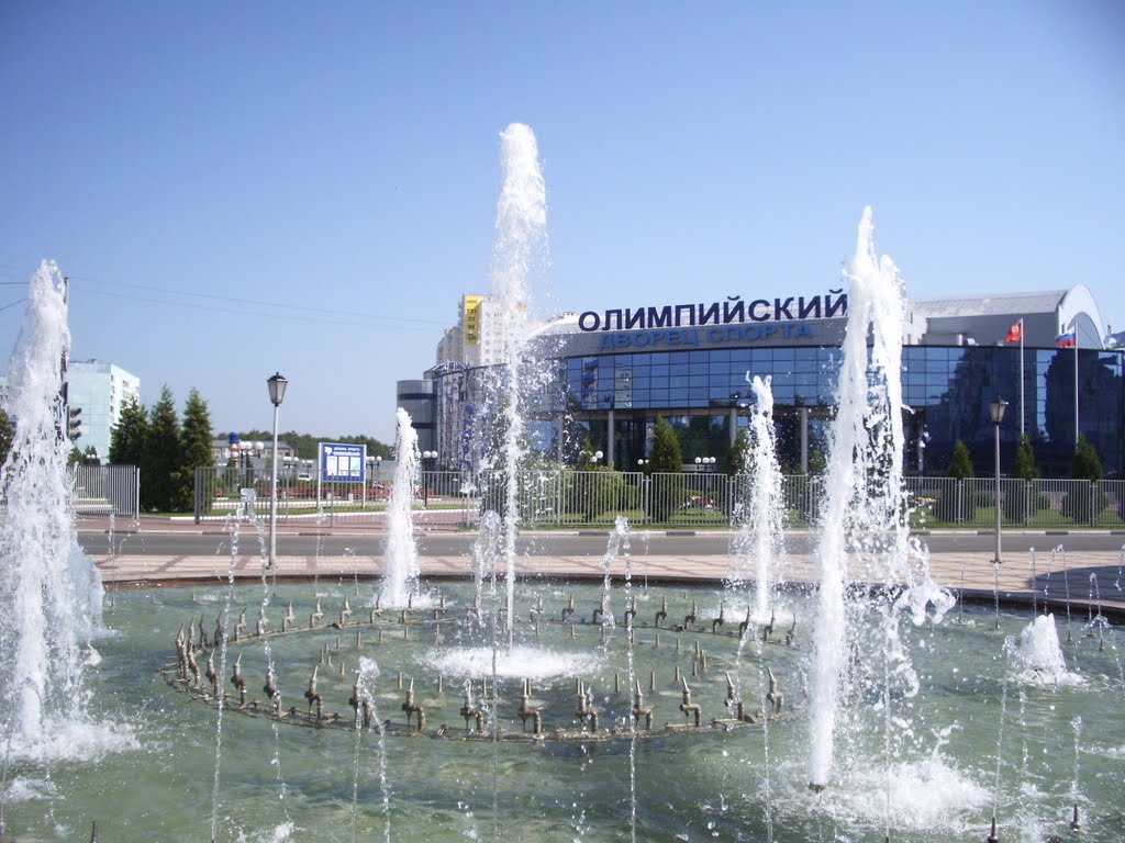 Дворец спорта "Олимпийский" в г. Чехов, Чехов