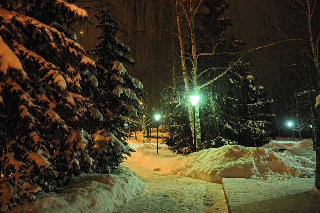Зимний вечер, Чехов