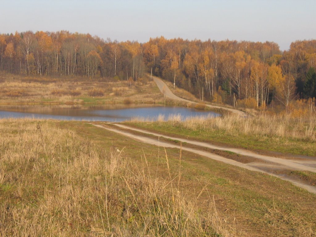 пруд в Шарапово, Шарапово