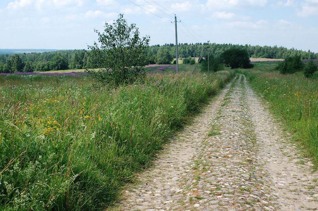 200 Years Road, Шарапово