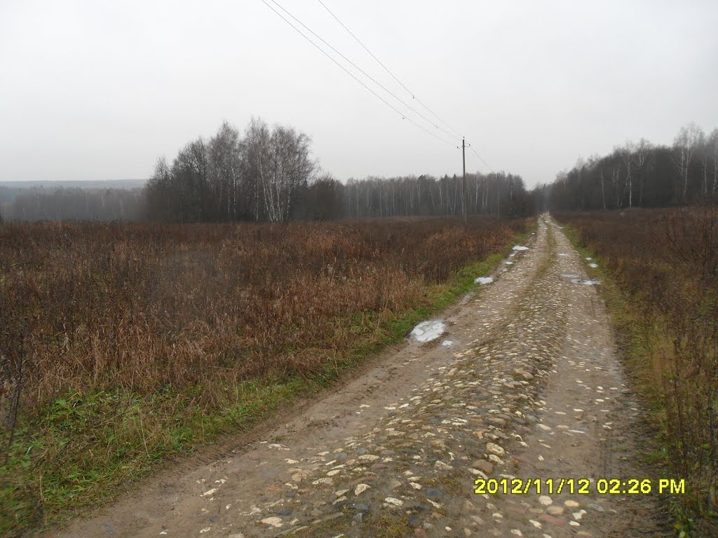 Старинная мощёная дорога. м, Шарапово