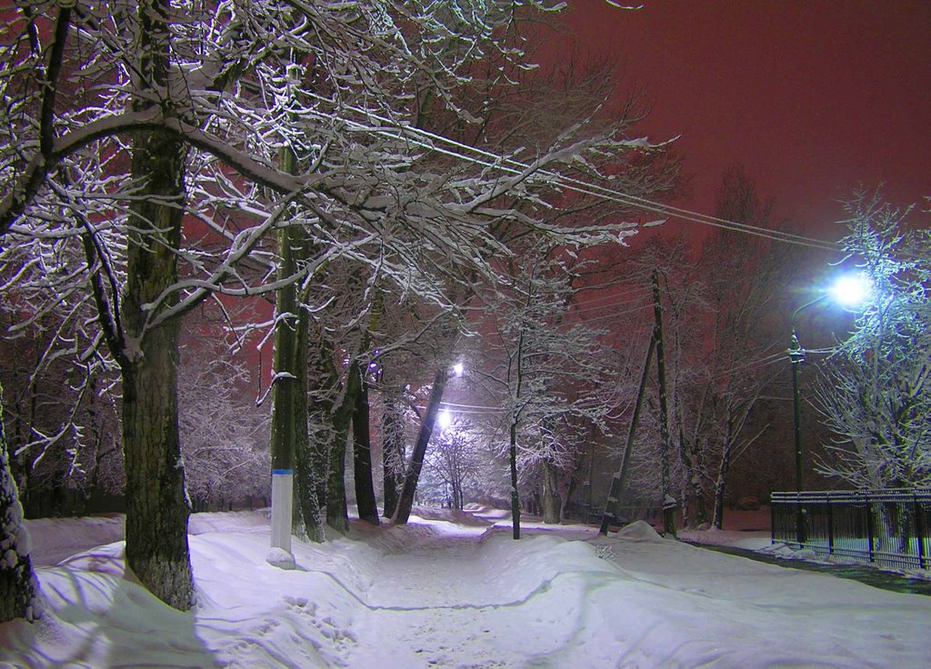 Зима в ночном городе, Шатура