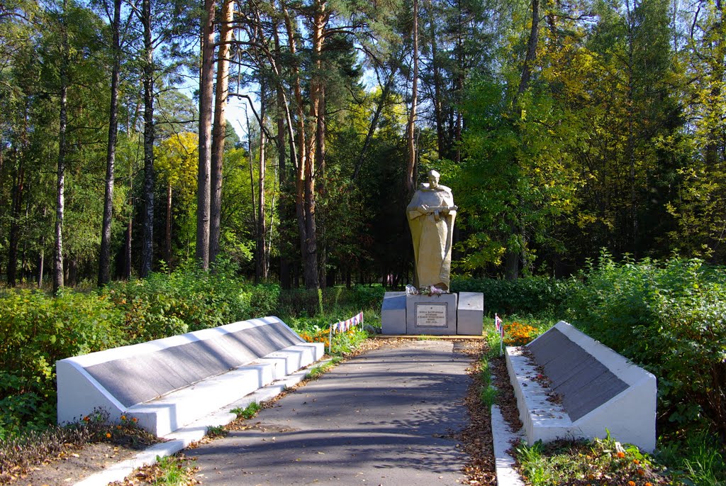 Памятник героям В.О.В., Шатурторф