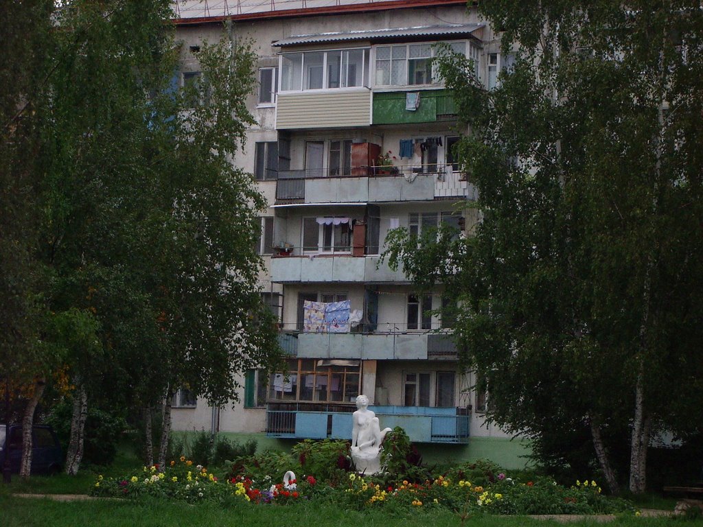 дворик Шамонина 15, Шаховская