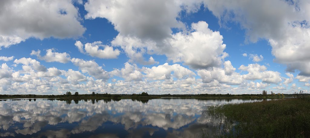 Панорама Верхнерузского водохранилища, Шаховская