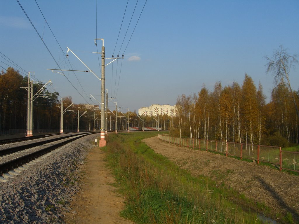 Ветка на Шереметьево, вид со стороны аэропорта, Шереметьевский