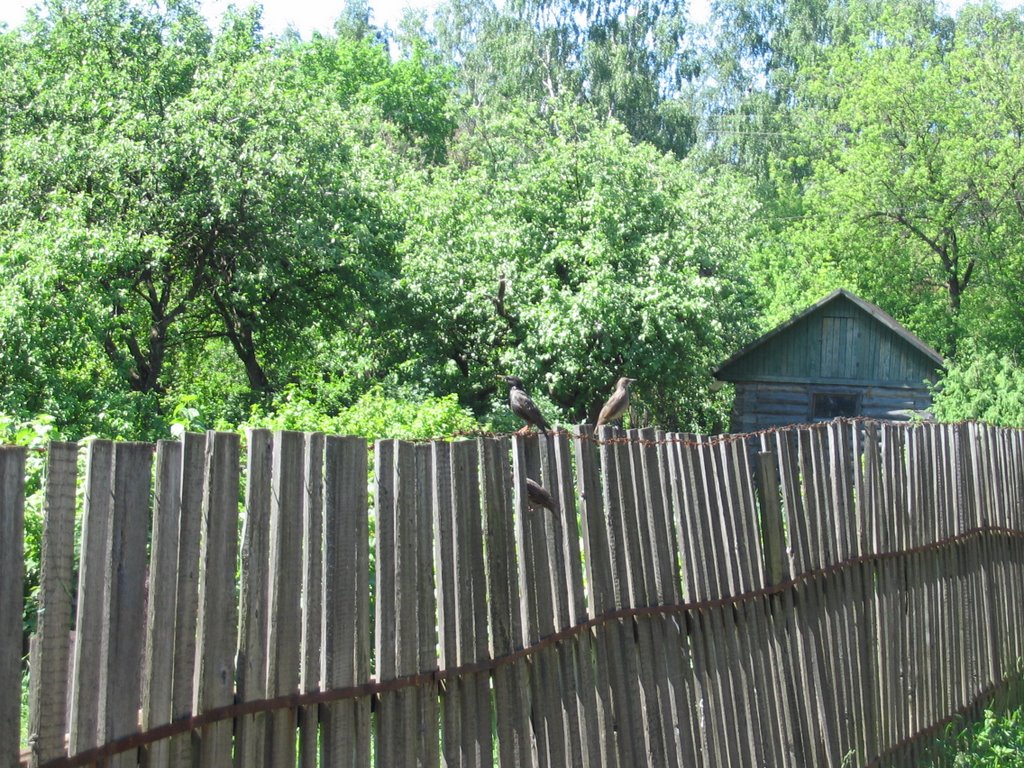 забор в хлебниково, Шереметьевский