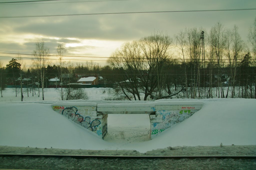 small railway bridge with graffiti, Шереметьевский