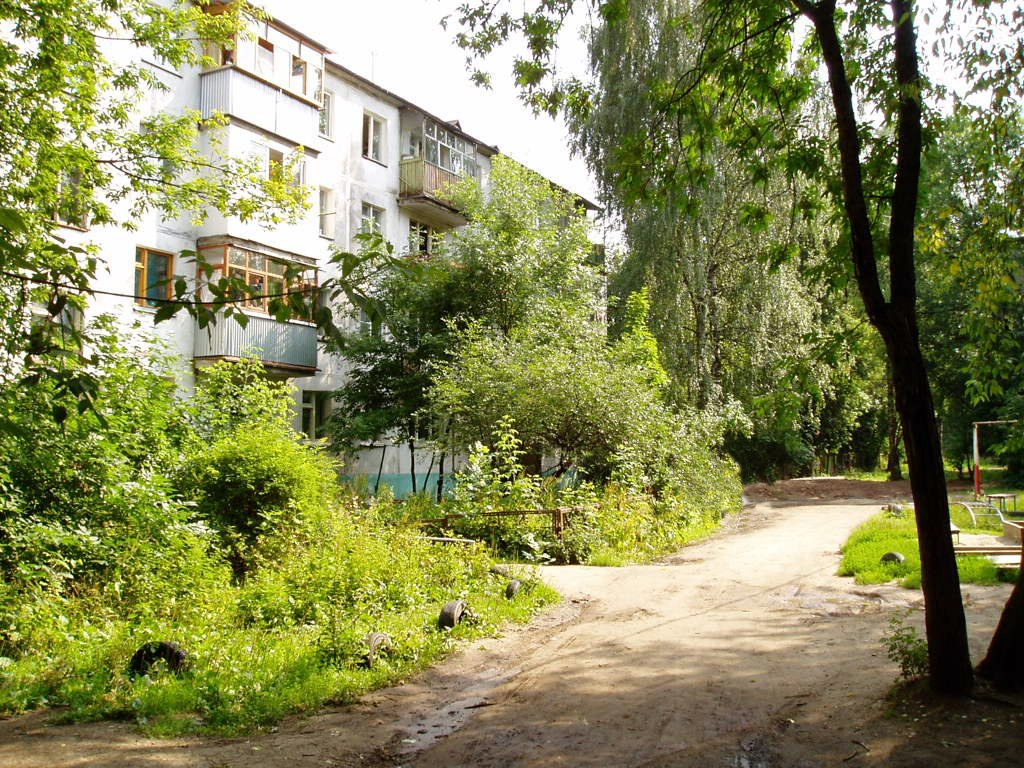 Parkovaya Street, Щелково