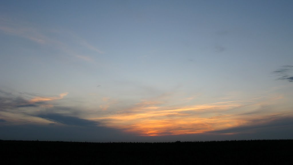 Evening field / Поле. Вечером., Щербинка