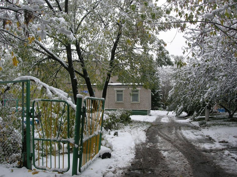 Snow in autumn, Электросталь