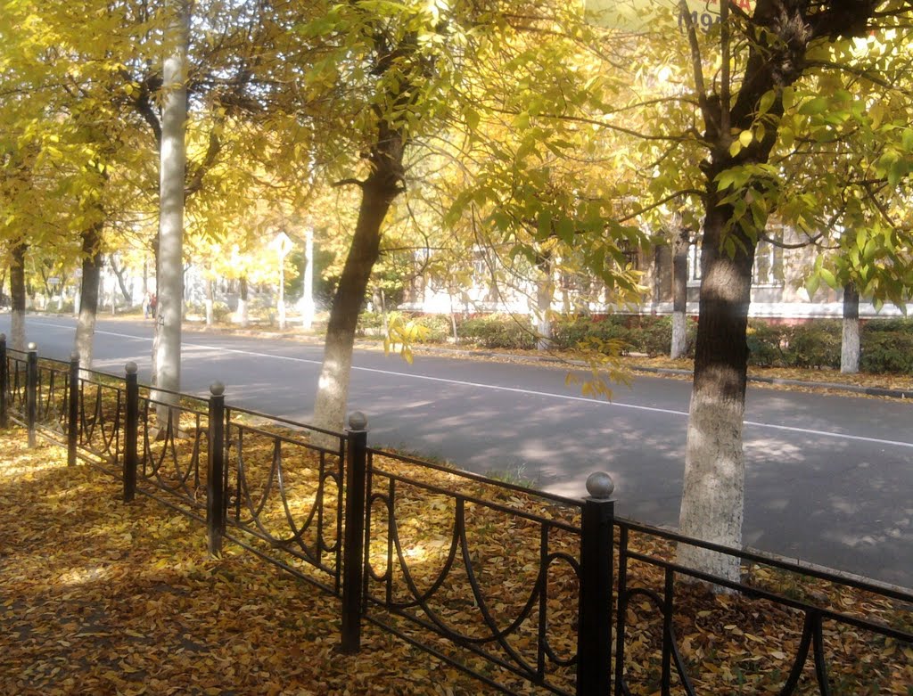 улица Николаева осенью, Электросталь