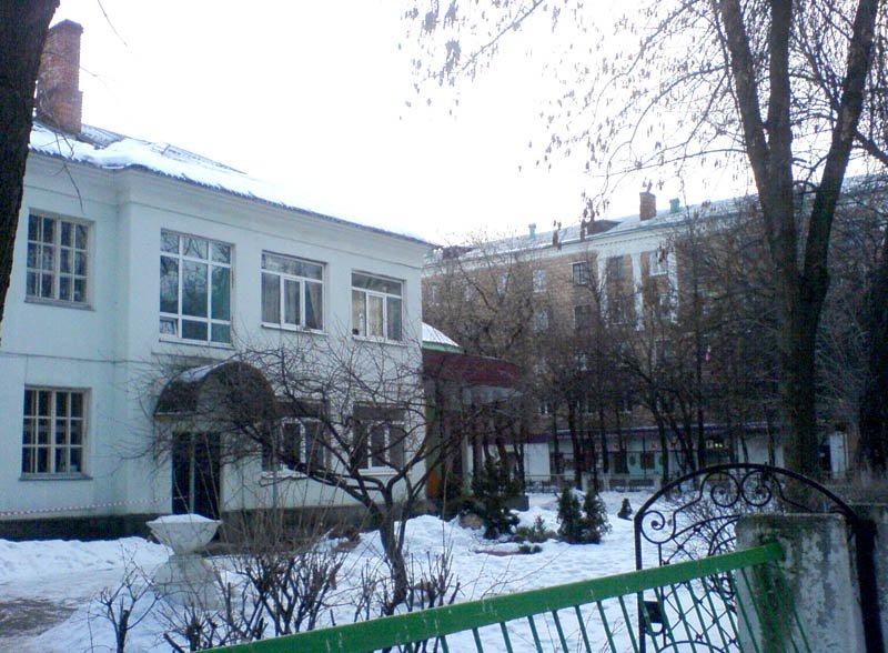Школа Казанцева, Электросталь