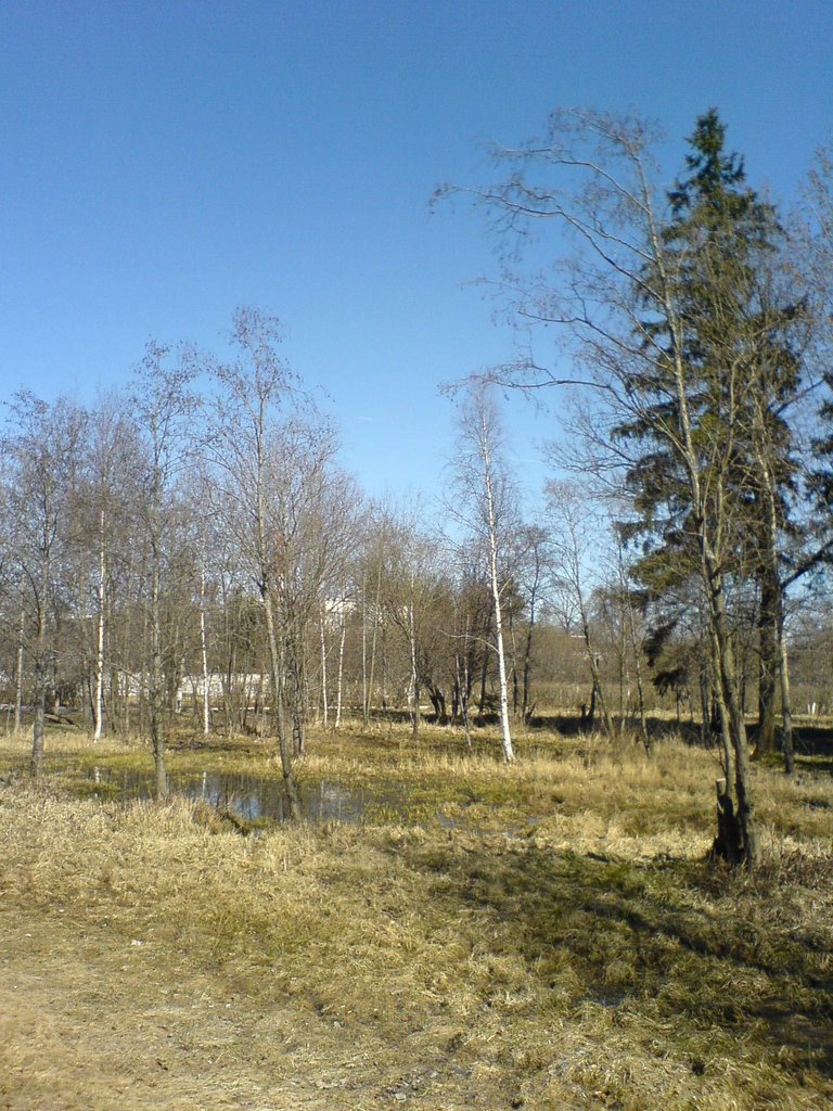 Весна в ГИЦИУ КС, Краснознаменск