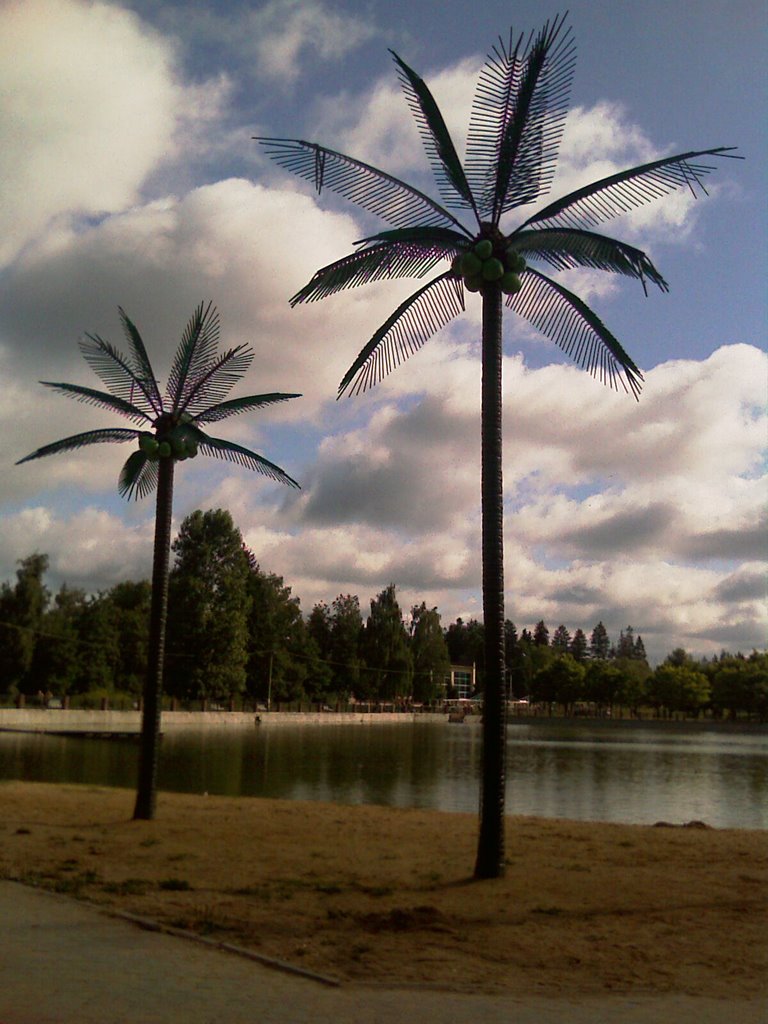 Пальмы у пруда / Palm trees at a Pond, Краснознаменск