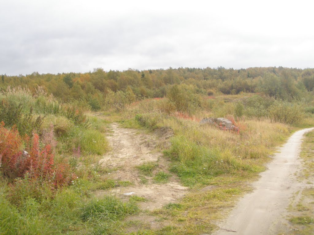 Велотрасса "Лапландия", поворот на заброшенную дорогу до п.Кильдинстрой, Кильдинстрой