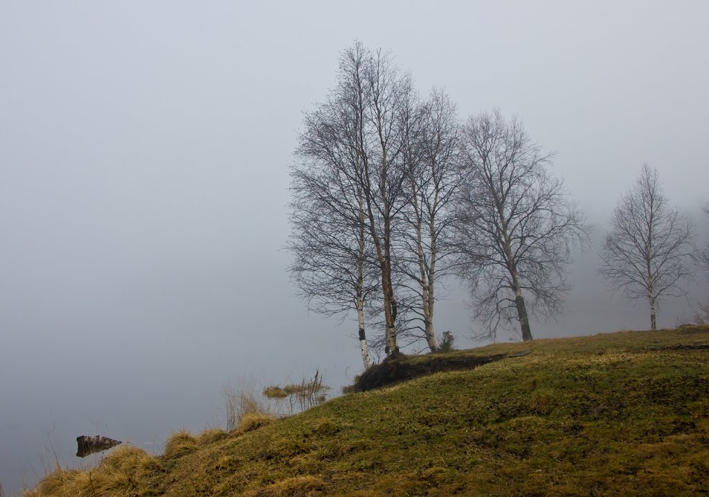 Ковдор, туман над озером., Ковдор
