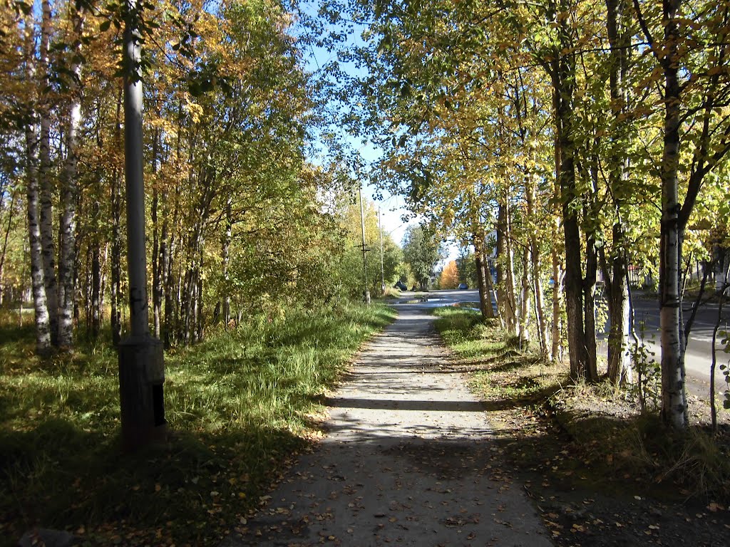 Осенняя аллея, Ковдор